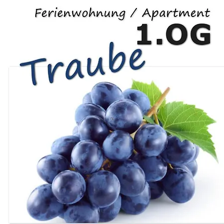 Traube Apartament